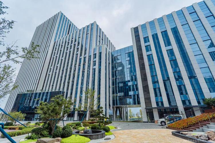 大连鸥椰网络科技